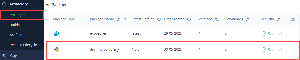 JFrog Packages